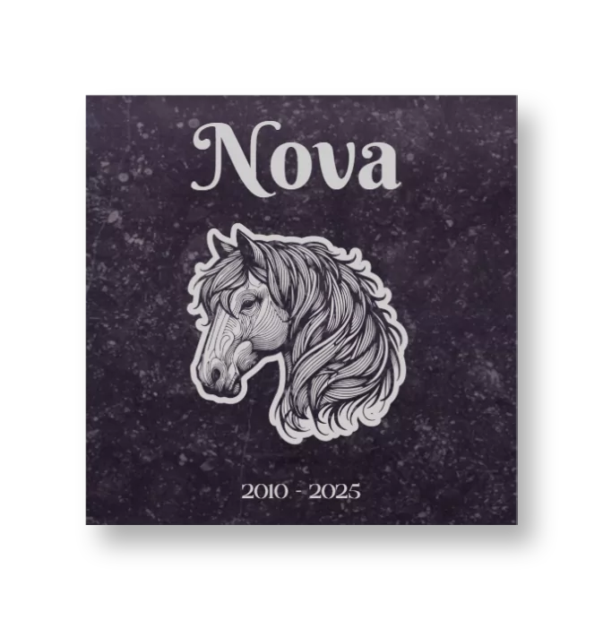 Gedenksteen Dieren Belgisch hardsteen - Vierkant - Afbeelding 2