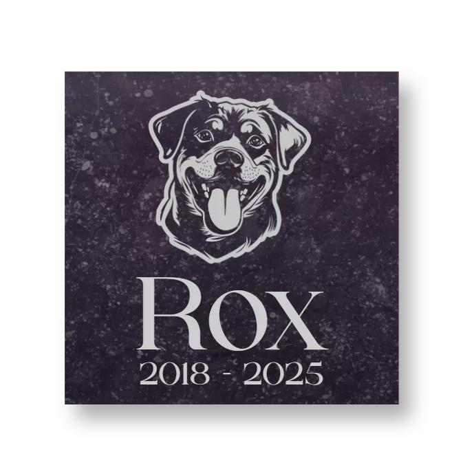 Gedenksteen Dieren Belgisch hardsteen - Vierkant