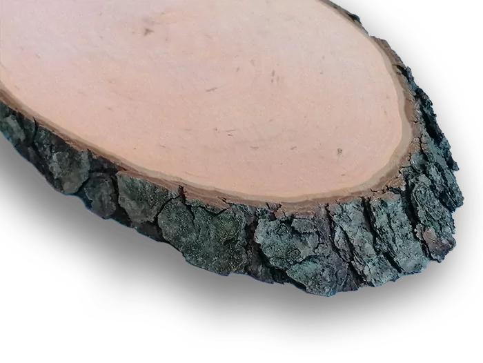 Naambord Boomschijf - Afbeelding 2