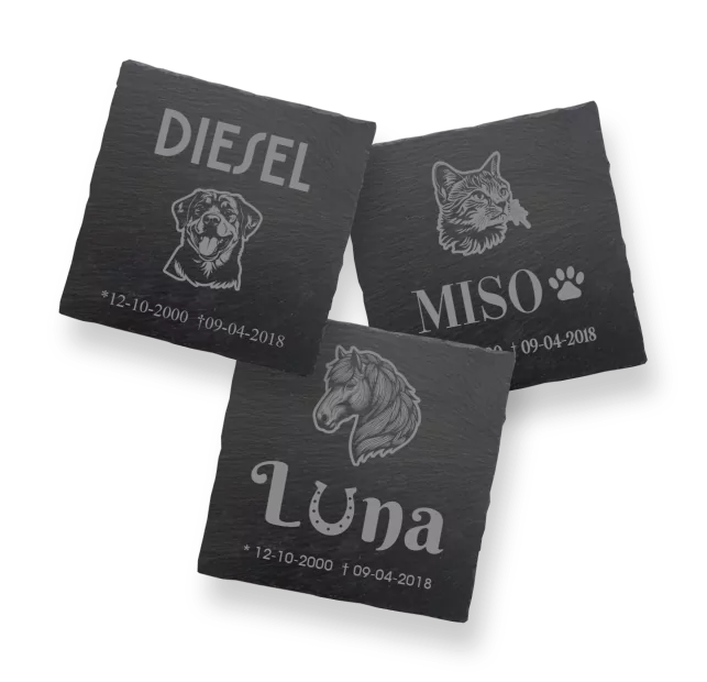 Gedenksteen Dieren Leisteen - Vierkant